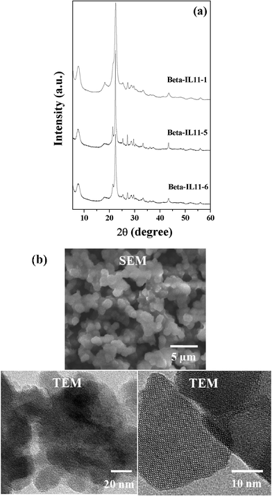 (a) XRD patterns of Beta-IL11-1, Beta-IL11-5 and Beta-IL11-6, and (b) SEM and TEM images of Beta-IL11-5.