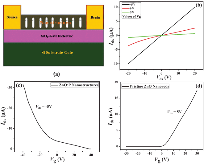 (a) The schematic structure of a back-gated ZnO:P transistor. (b) The Ids–Vds plots of the p-type ZnO:P device at different Vg. (c) Ids–Vg plots of ZnO:P device at Vds = −5 V. (d) Ids–Vg plots of the n-type ZnO transistor device at Vds = 5 V.