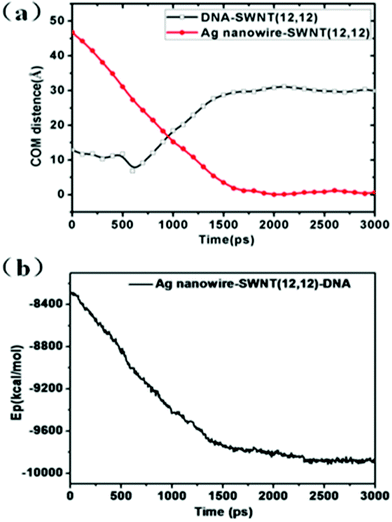 (a) COM distance between SWNT (12, 12) and silver nanowire and that between SWNT (12, 12) and DNA molecules during the simulation times. (b) The potential energy as a function of simulation time in the process of DNA molecules being released from SWNT (12, 12).