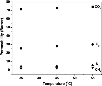 Representative plots of permeability vs. temperature for BIDA-6FDA.
