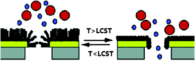 Reversible switching capability of a PNIPAAM-grafted NCAM membrane. Permeation of 77 kDa dextran through an ID200/Au50/PNIPAAm 10 nanocapillary array membrane (NCAM) over several heating–cooling cycles.239