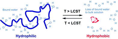 Schematic of ‘smart’ polymer response with temperature.42