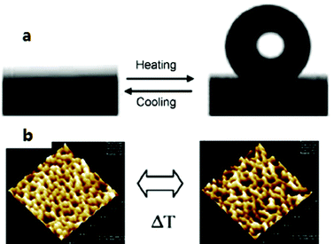 (a) Switching between superhydrophilicity and superhydrophobicity of a PNIPAAM-modified rough silica surface,212 and (b) representative topographical atomic force microscopy (AFM) images of PNIPAAM grafted of a PNIPAAM-modified nanoporous, structured anodic aluminum oxide membranes in water at 25 °C (left) and at 40 °C (right).199