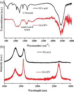 (a) FT-IR and (b) Raman spectra of EG-acid and EG-OPV hybrid.