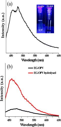 (a) Fluorescence spectrum of EG-OPV in DMSO, λexc = 410 nm (inset depicts the photographs of EG-acid and EG-OPV under UV illumination) and (b) the quenching quantification experiment of EG-OPV.