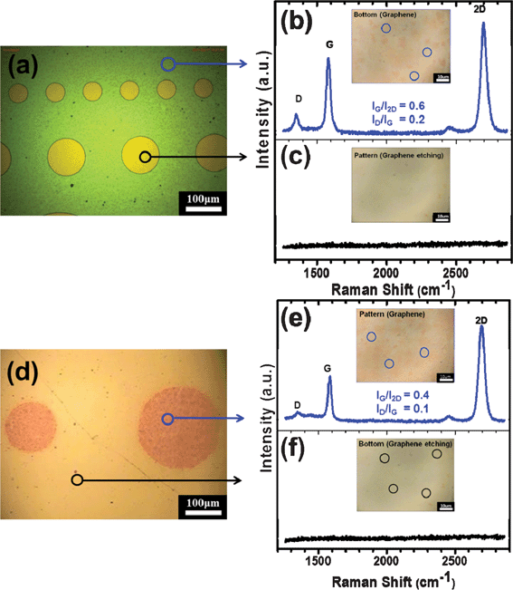 (a) Optical microscopy of the graphene patterned for 60 min at an rf power of 50 W using photolithography with different diameters. Raman spectra observed for (b) the non-etched and (c) the etched areas. Inset of each figure shows the Raman image of the non-etched and the etched areas. (d) Optical microscopy of the graphene patterned for the top electrode. Raman spectra observed for (e) the non-etched and (f) the etched areas. Silver was deposited using a shadow mask by dc sputtering and, after plasma etching, the silver was removed using a solution that included iodine. Inset of each figure shows the Raman images of the non-etched and the etched areas.
