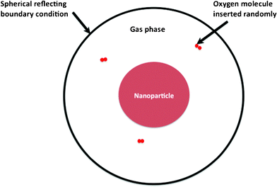 Schematic showing the simulation cell of alloy nanoparticle and the vacuum surrounding it. The nanoparticle of radius R is at the center of the simulation cell. A spherical reflecting wall located at 2.5R holds the gas phase oxygen atoms.