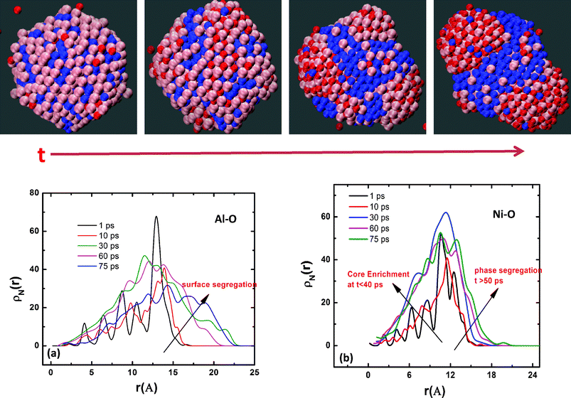 Temporal evolution of oxide composition during the nanocluster oxidation. (a) Variation of Ni composition in the nanocluster during the oxide growth process. (b) Variation of Al composition in the nanocluster during the oxide growth process. The evolution of the density profile of Ni and Al indicates phase segregation of metallic Ni from the growing aluminum oxide. The snapshots shown provide a visual evidence of oxidation induced phase segregation phenomena in Ni–Al inter-metallic alloy. Aluminum is shown in pink, Ni in blue and oxygen in red.