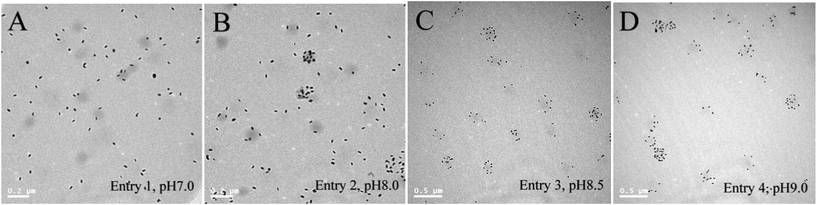TEM images of the 4 P(NIPAM–AAPBA)/GNR hybrid microgels prepared in Entries 1–4, Table 1.