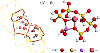 Possible Cu-exchange sites in β-zeolites (a) and the 6T-cluster mode (b).