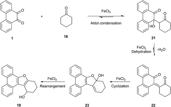 Mechanism for the formation of furan annulated product 19 from 9,10-phenanthrenequinone 1 and cyclohexanone 18.
