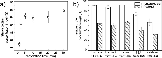 a) Relative protein concentrations of lysozyme in the rehydrated gel as a function of rehydration time; b) relative protein concentrations of the five proteins in the rehydrated gel and in the fresh gel after 5-min incubation in the stock protein solutions.