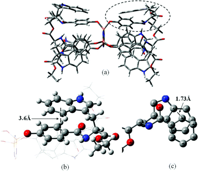 The simulated molecular model of HEPCP: (a) configuration of HEPCP molecule, (b) enlarged top view of the molecular structure at circled part, showing the vertical displacement between the benzene plane in indole ring and the benzene in cyclotriphosphazene arm, (c) enlarged side view of the molecular structure at circled part, showing the parallel displacement between the two aromatic ring planes.