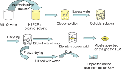 A schematic illustration of the self-assembly procedure of HEPCP.