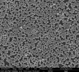 A SEM image of the nanoparticles formed from HEPCP.
