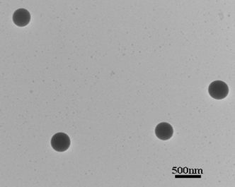 A TEM image of the nanoparticles formed from HEPCP.