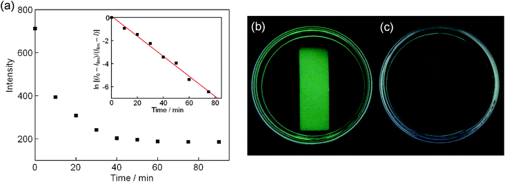 (a) Time dependency for the Cu2+-induced fluorescent response of the gel film. (Inset: corresponding plot of ln[(I0 − Ilim)/(Ilim − I)] versus time for fluorescence quenching at 511 nm after immersion in a HEPES aqueous solution of Cu2+ (1.25 × 10−5 M).) Photograph of gel films under UV light (365 nm) after being immersed in HEPES aqueous solution (5 mM, pH = 7.0, 3.0 mL) for 30 min: (b) copper ion-free conditions; (c) in the presence of Cu2+ (1.25 × 10−5 M).