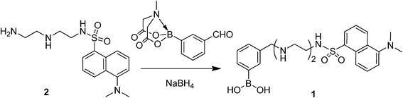 Synthesis of boronic acid-appended N-dansyldiethylenetriamine 1.