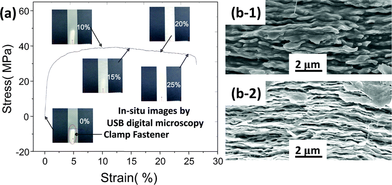 (a) Stress-strain curve and in situ images of FP50C composite membranes in a tensile test and (b) SEM cross sectional images, before (b-1) and after (b-2) the tensile test.
