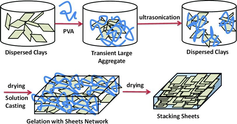 Representation of the process of solution casting to fabricate nacre-like microstructures.