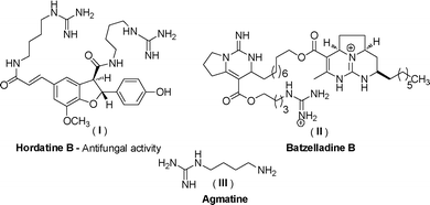 Biologically active compounds containing the amidine skeleton.