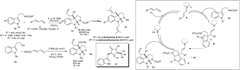 Enantioselective addition–cyclization reaction catalyzed by chiral imidazolidinones.