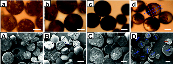 (a) and (A), (b) and (B), and (c) and (C) show the optical micrographs and SEM images of the microspheres obtained under in the absence of Fe3O4 nanoparticles, without magnetic force during polymerization, and with a high H30 concentration of 7 wt‰, respectively. (d) and (D) present the microspheres produced under the standard conditions (entry No. 4, Table S1, SI). The observed morphologies of the microspheres (arrows in (D)) depend on the sites at which the microspheres were cut (lines in (d)). WF/O volume ratio in all above samples was fixed at 1 : 4 and all scale bars represent 50 μm.