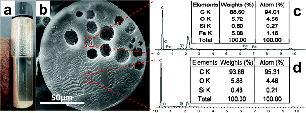 (a) presents a digital photograph of the as-prepared Janus microspheres dispersed in ethanol solution being attracted under a permanent magnet; (b) shows details of the inner structure of a Janus microsphere; elemental analysis of the sample, both at the inner-wall of hollow spheres (c) and solid sites (d), indicates the asymmetric distribution of Fe element.