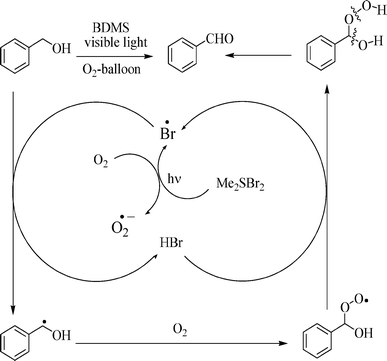 Proposed mechanism for the BDMS aided photocatalytic oxidation of benzylic alcohols with visible irradiation under oxygen atmosphere.