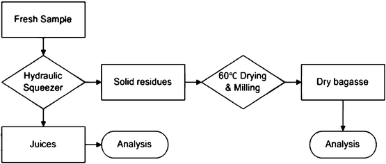 Flowchart of major processing steps for preparation of agave samples for analysis.