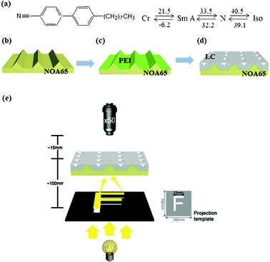 (a) The molecular structure and the phase transition temperatures of the smectic LC compound. (b–d) A schematic representation of the LC MLAs. (e) The experimental setup for the projection experiment. MLA samples were scanned in the z-direction of the microscope to determine the focal planes of the MLAs. A black polymer sheet with a transparent letter “F” was prepared by a laser printer (HP Laser Jet-2420).