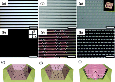OM and POM images, and a schematic representation of 8CB at different temperatures in trapezoidal microchannels with the upper side, lower side and depth of the channel, u = 20 μm, l = 8.2 μm and h = 8.3 μm (scale: 50 μm). (a–c) At 42 °C (isotropic phase region), (d–f) at 35 °C (nematic phase region), (g–i) at 32 °C (smectic phase region). Inset (g): atomic force microscopy (AFM) three-dimensional topography of linear TFCD arrays at the LC–air interface of the channel. In (c), (f) and (i), the gray rods represent each LC molecule.