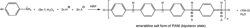 Stoichiometric equation for the HRP–H2O2-catalysed polymerisation of aniline into the emeraldine salt form of PANI; the bipolaron state is shown (see Scheme 2). A− represents the counter ion/dopant (probably mainly AOT). For each tetrameric repeating unit formed (n = 1), 3n H+ are released from the para-position of 3n aniline monomers