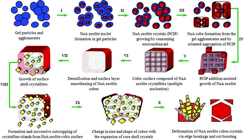 Schematic presentation for proposed crystal growth mechanism of NaA zeolite cubes and finally break-down to smaller size NaA zeolite crystals.