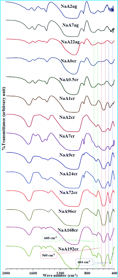 FT-IR spectra of specimens obtained at different stages of NaA zeolite crystal growth.