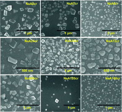 SEM micrographs of specimens collected at different stages of NaA zeolite crystallization revealing the formation of nanosize particles.