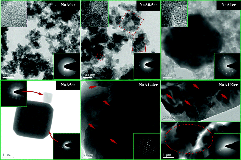 TEM, HRTEM images and SAED patterns of NaA zeolite specimens collected at different stages of crystallization. (NaA0cr, NaA0.5cr and NaA1cr) NaA zeolite specimens collected at 0, 0.5 and 1 h of crystallization, respectively; HRTEM images, top-left inset and SAED patterns, bottom-right insets, revealing the polycrystalline nature of particles. (NaA5cr) TEM image of specimen collected at 5 h of crystallization showing two different type of cubes; SAED patterns, top-left inset showing single crystal small cube and bottom-right inset showing polycrystalline nature of big cube. (NaA144cr) Typical HRTEM image showing that cube is composed of nanosize crystals and the corresponding SAED pattern bottom-right inset demonstrating the characteristic NaA zeolite electron diffraction pattern. (NaA192cr) TEM images of the specimen collected at 192 h of crystallization at two different magnifications show the nanosize NaA zeolite crystals embedded in the micron size cube; SAED (inset) of same solid identifying it as NaA zeolite.