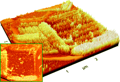 AFM images of {100} cube surface for NaA zeolite crystal collected at 9 h of crystallization (NaA9cr).