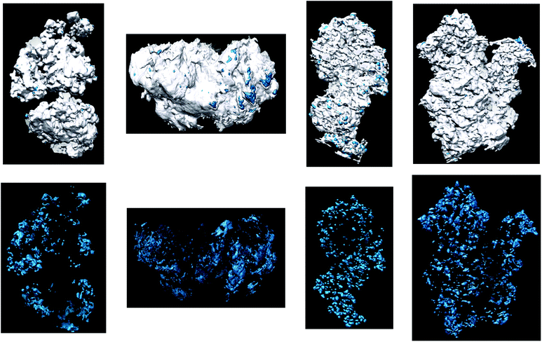 Top: 3D tomographic models of the analyzed grains of the samples A1, B1, A2 and B2. Bottom: 3D representations of the same aggregates, where only the Ag NPs are represented.