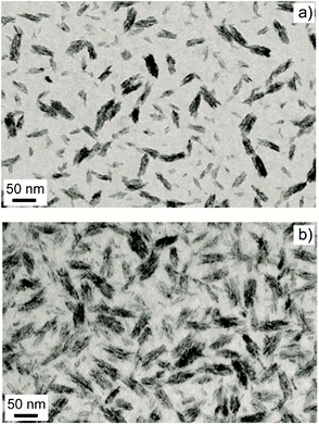 TEM images of titania PEOX nanocomposite films: a) A16 and b) A44. Bar scale: 50 nm.