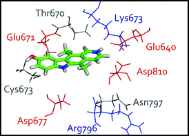 Proposed binding mode of protonated 9-hydroxyellipticine 4 in the c-Kit kinase active site, determined from molecular dynamics simulations.28