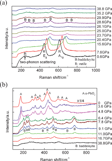 Raman spectra of nanoporous TiO2 at various pressures: (a) compression, (b) decompression.