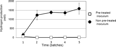 Variations in hydrogen productivity during the second stage of the sequential batch test.