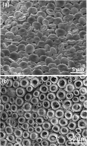 (a) Circular discs with partial dents in their center formed by calcination at 470 °C for 5 h. (b) Ring shaped structures formed at 550 °C for 5 h.