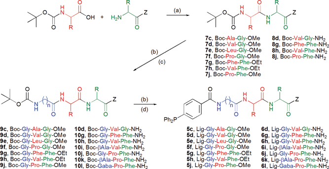 Solution phase synthesis of ligands Lig-Aa1-Aa2-Aa3-Z 5 and 6. Reaction conditions: (a) TBTU/HOBt, DIPEA, DCM; (b) TFA/DCM (1 : 1); (c) Boc-Aa1-OH/TBTU/HOBt, DIPEA, DCM; (d) Ph2P-pC6H4-CO2H/TBTU/HOBt, DIPEA, DCM.