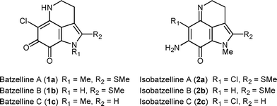 Structures of batzellines A–C and isobatzellines A–C.
