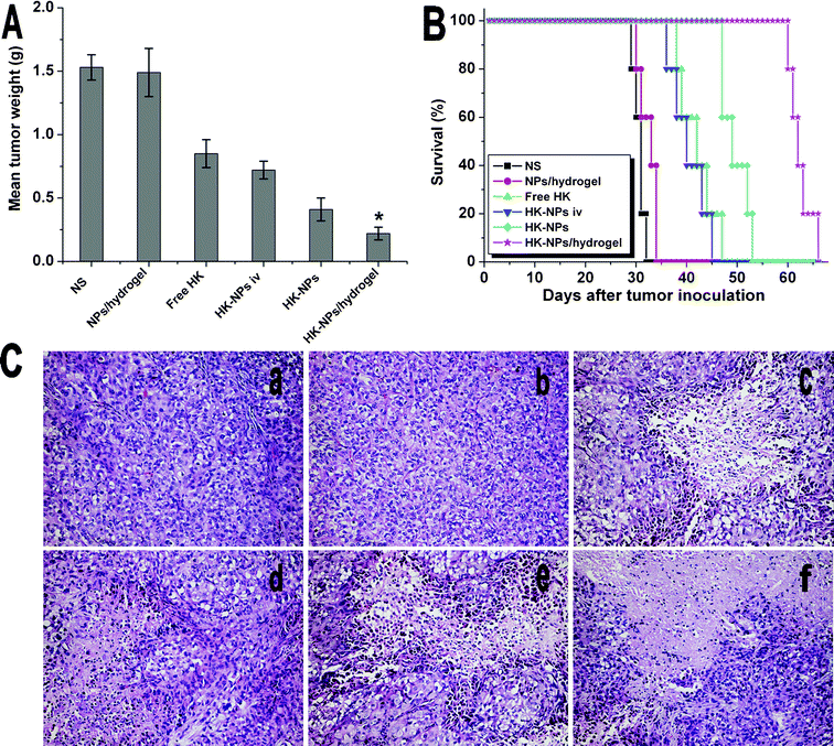 Therapeutic efficacy of HK-NPs and HK-NPs/hydrogel in the OPC mice model. A: Mean tumor weight in each group. B: Survival curve of each group. C: Sections of tumors stained by H&E in NS (a), blank NPs/hydrogel (b), free HK (c), HK-NPs iv (d), HK-NPs (e) and HK-NPs/hydrogel (f) treated groups.