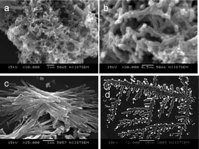 SEM images of (a) PPTC1 (b) PPTC3 (c) PPT and (d) PHTC.