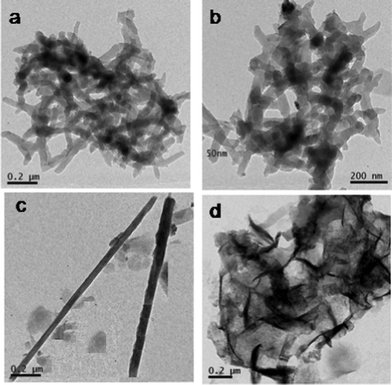 TEM images of (a) PPTC1 (b) PPTC3 (c) PPT and (d) PHTC.