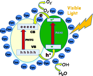 Mechanism for the photodegradation of dye in the presence of PPTC.